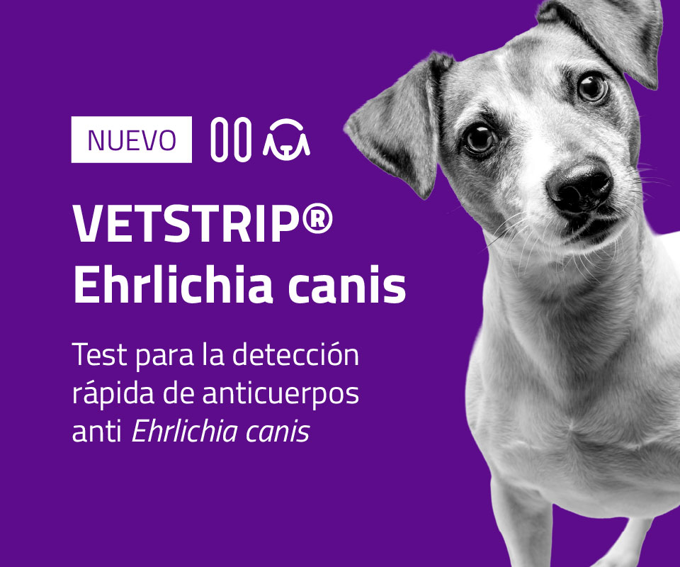 VETSTRIP® Ehrlichia canis